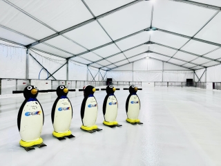 Пускат ледената пързалка безплатно за фенове на Ботев Враца