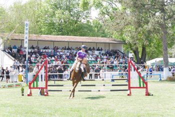 ���������� ����� ������ �������� � �����