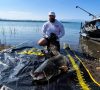 Кикбоксьор хвана огромен сом в язовир „Огоста“