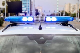 ���� ������ ������� ���� ������ �������� � �����