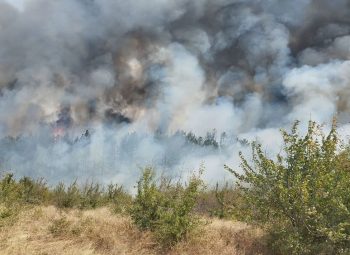 Втори ден се борят с пожари във Врачанско