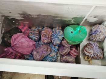 ��������� ��������� ������� ��� ���������