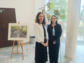 Ôîòîèçëîæáà ïîêàçâà íåïîçíàòàòà êðàñîòà íà Áèñòðåö è Çãîðèãðàä