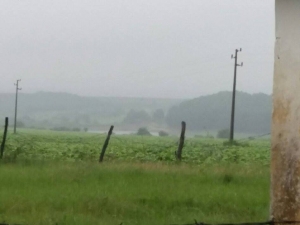 ���� �������� �� ��������� �� ��������� � ������ �����