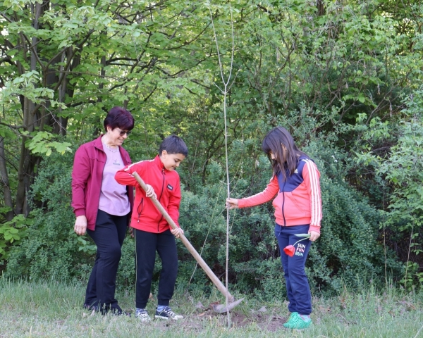 �������� 250 �������� � ����� ����