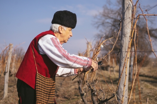 ������ ����������� �������� ��� ������� ��������� 