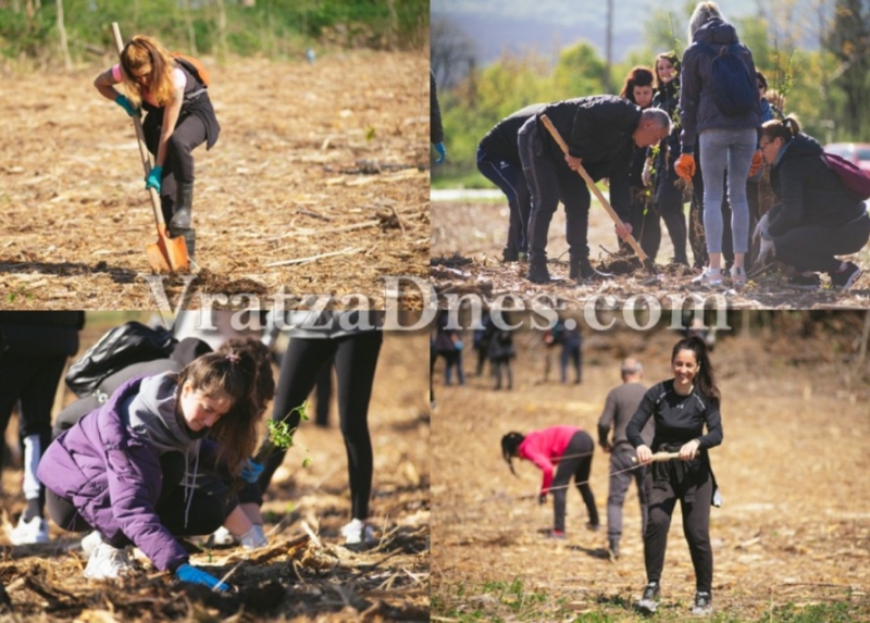 �������� 8 000 ��������