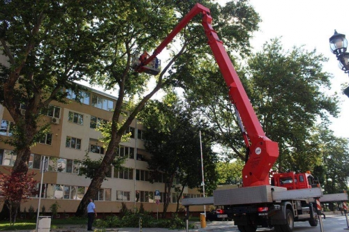 ����������� �� ������� ������� � ��������