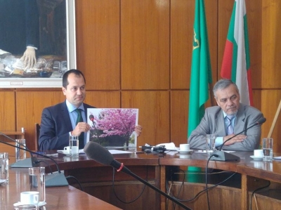 ���� ������, ������� � ������� ����������� ������� �� �����