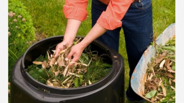 ���������� ����������� �� ��������� ����������