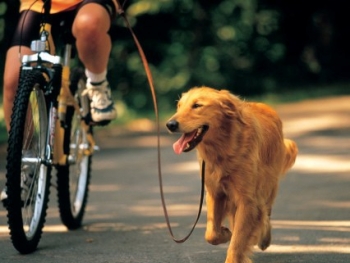 ������������� �� ������ �� ������ ������� 