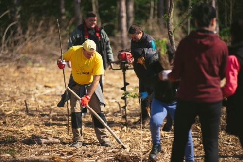 ������ ����������� ����� � ��������� �� ����� ������� 