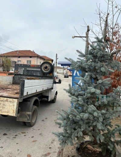 ������� ��� ����� �������� �� ����� ����