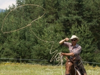 Назначиха „ловец на коне” в Община Враца