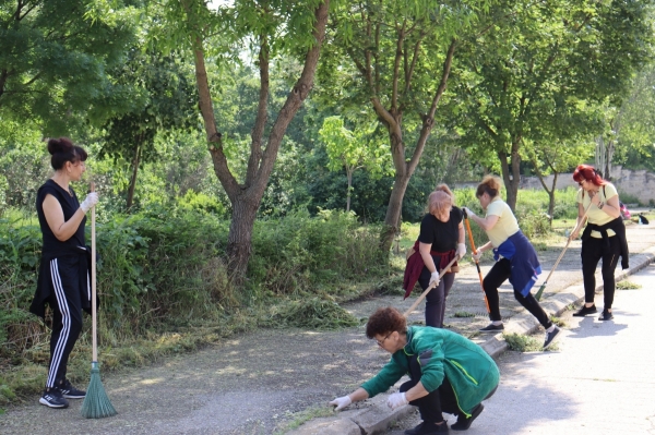 ������� ������� �������� ������