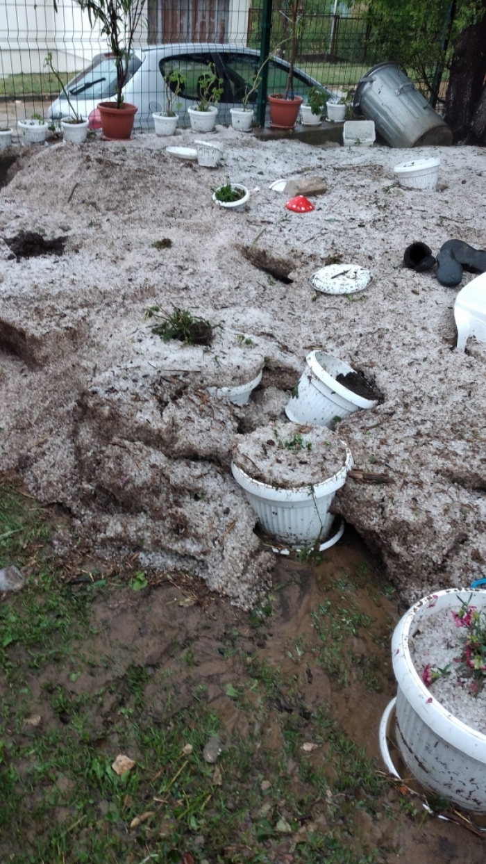 ����� �������� ����� ������ � ������� ���������� ����