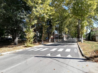 Поставиха нови изкуствени неравности по пътното платно в Козлодуй