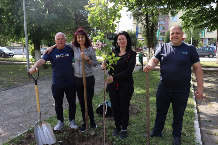 ���������� ������������ �� ����������� �� ������ �������� � ������ �������� 