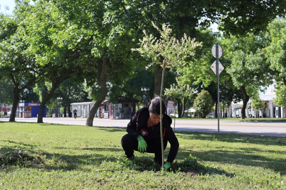 ������ �� �������� �������� �������� ���� �� ������ � �������