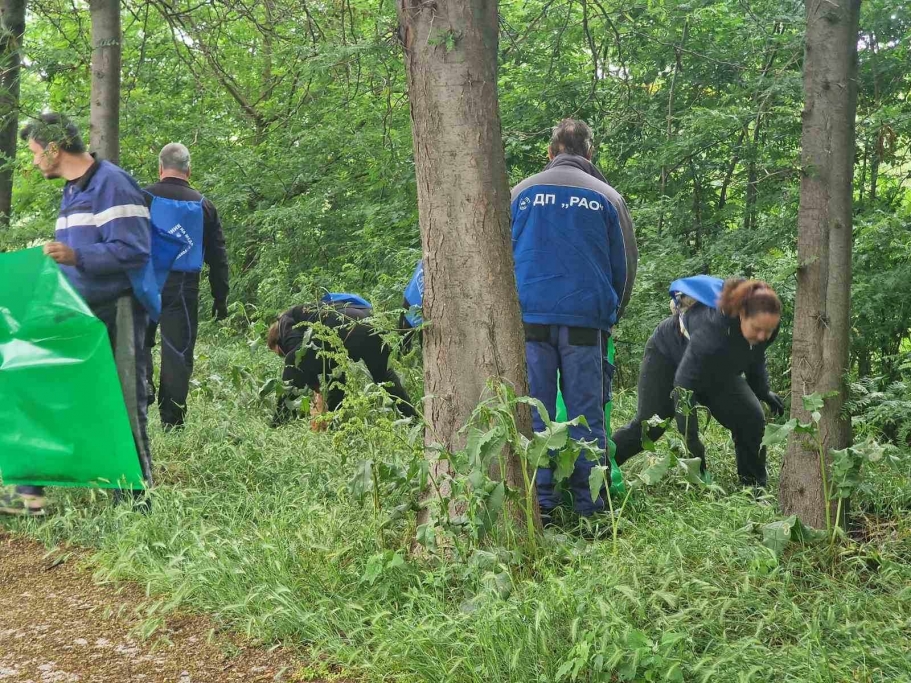 ��������� �� �� ��� ��������� �� ������� ������ � ����������