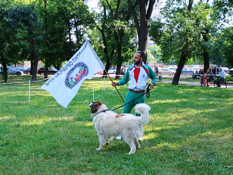 сн. 4