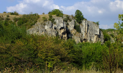 ������ ��������� ���� �������