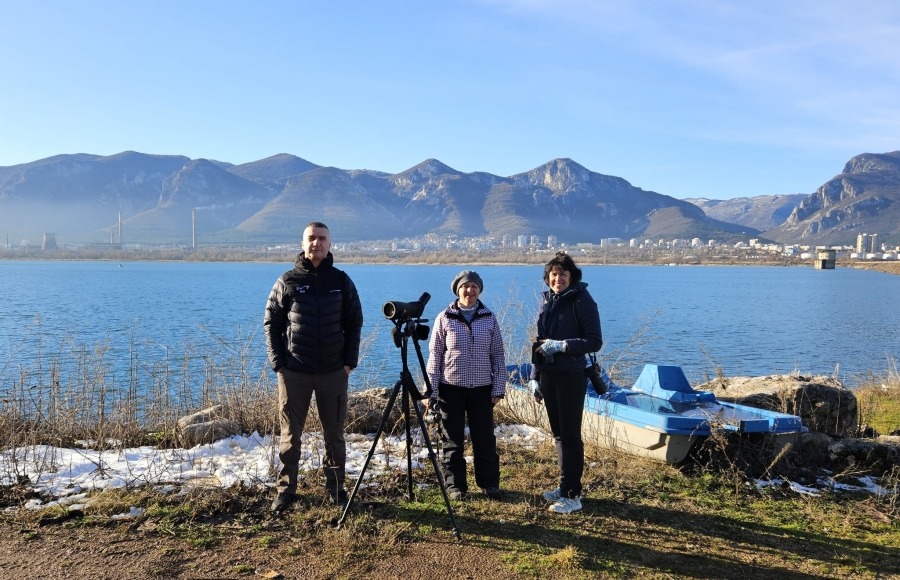 ������� ����� �������� ���������� ���������� �����