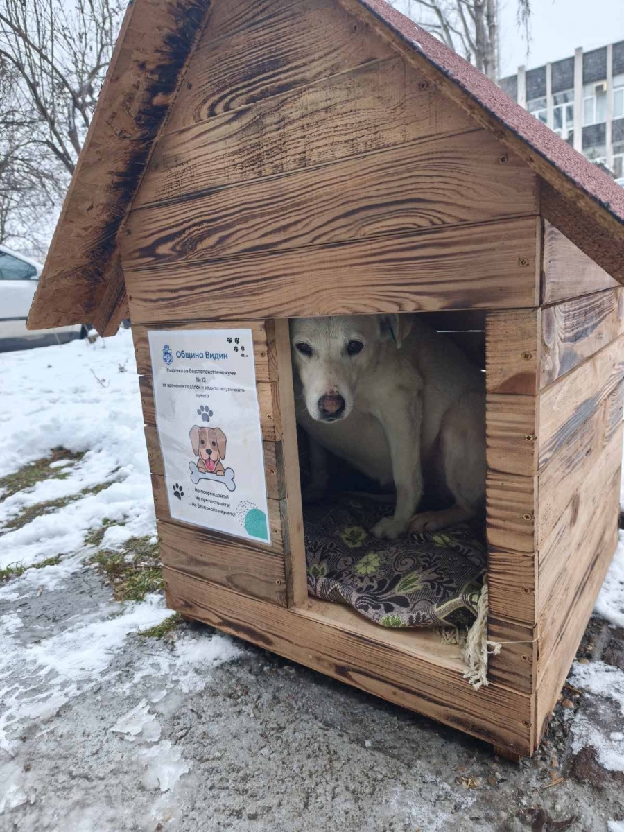 12 ������� �� ��������������� ������ �� ��������� ��� ����� 