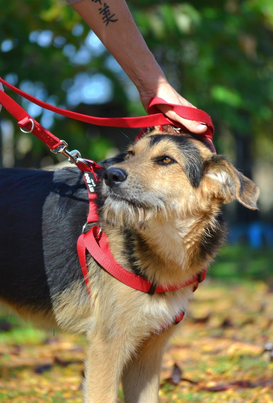 ��� 400 ������ �� ������������ ���� �������� ������ � ������ �����