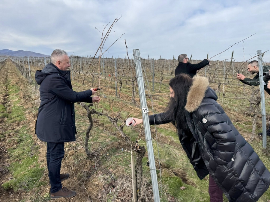 �������� ������ �������� ������ �� ���� 