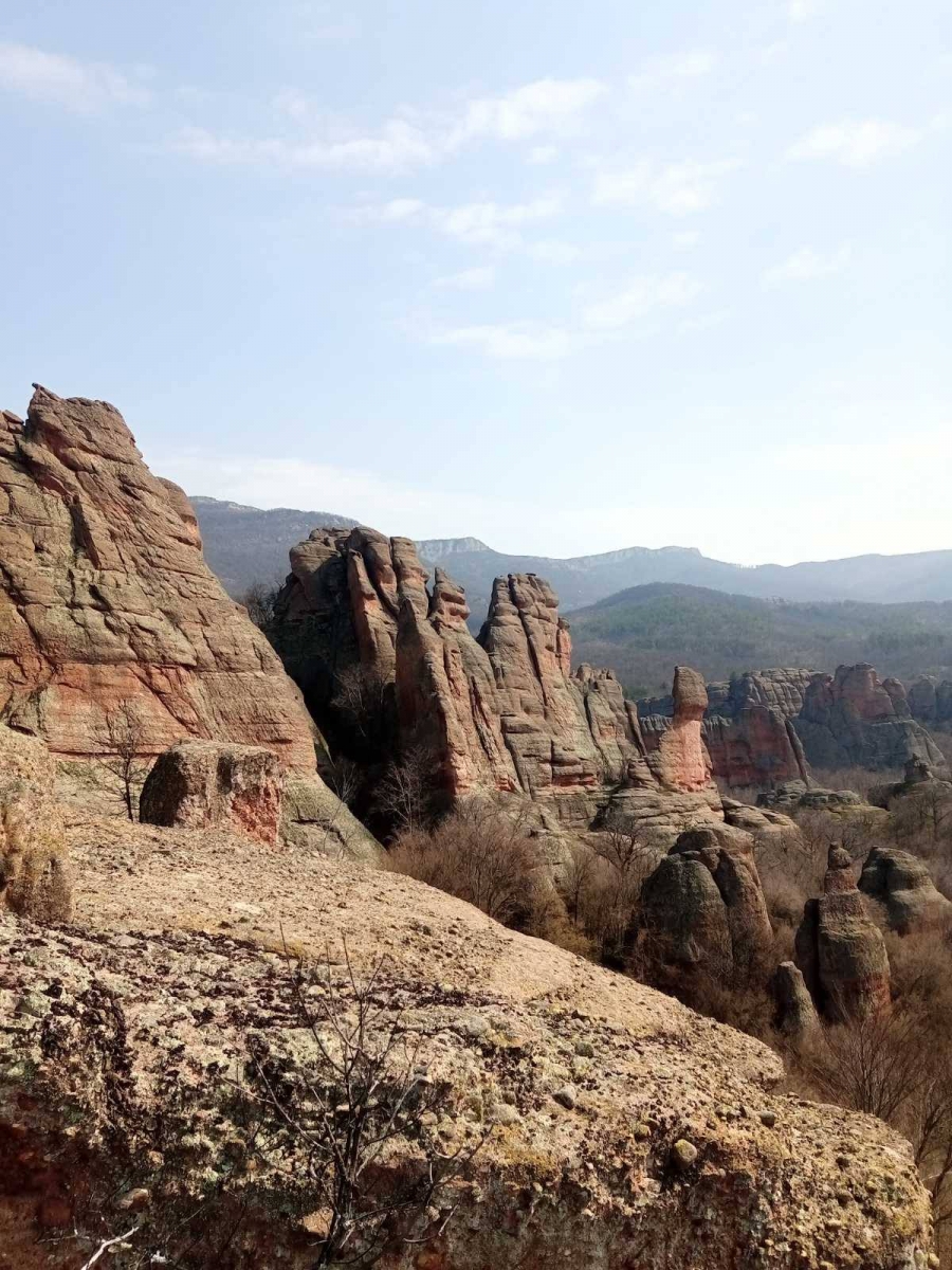 �������� ������������ �� ����������� ��������� ���� � �����������