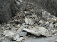 �������� ���� 40 ���� �� ��������� �� �������� �� �����