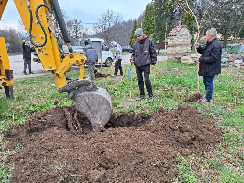 �������� �������� ���� ����������� ��������