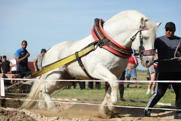 ������ �������� � ��� ���� ������ � ���-������� ��������� �� 1400 ��