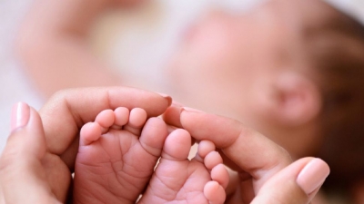 ����� � ������� ���� �� 2023 ������ � ��������