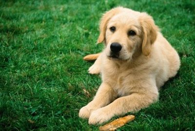 ������ �������� ������� ����������� �� ��������� ������