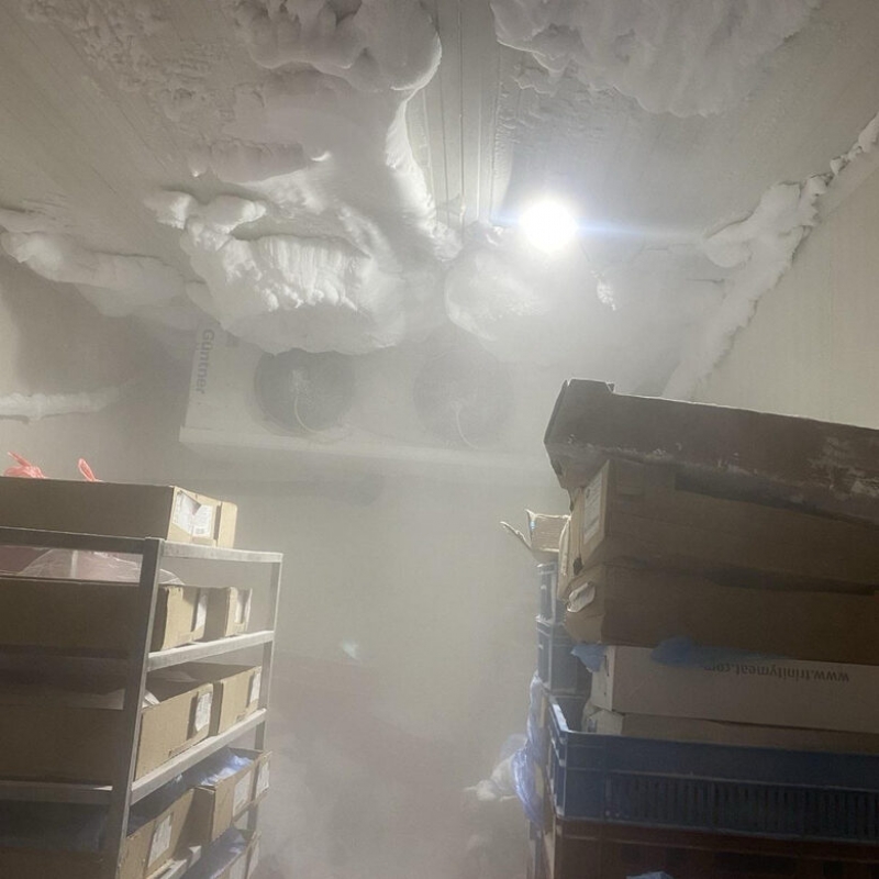 ���� ������� ������������������� ����������� � �������