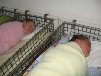 ������ ������ ������ 16 ���. ��. �� ����������