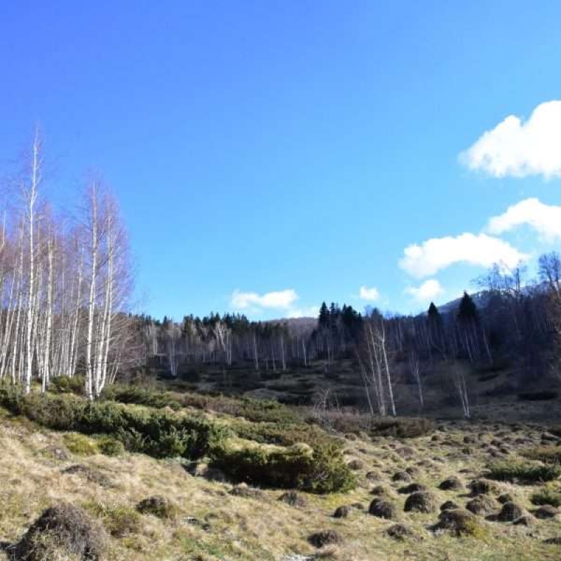 ��� ����������� ��� ���������� �� ������ � ���������