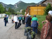 ������� ������ �� ������ ����� �� �������� � ���������� ����������