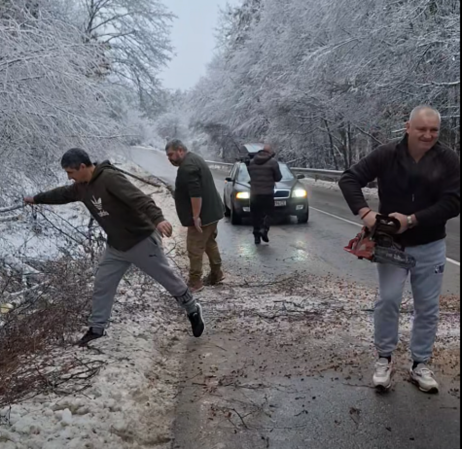  ������� ������� ���������� ������� ���� ��������, ������� ���������� ���� /������/