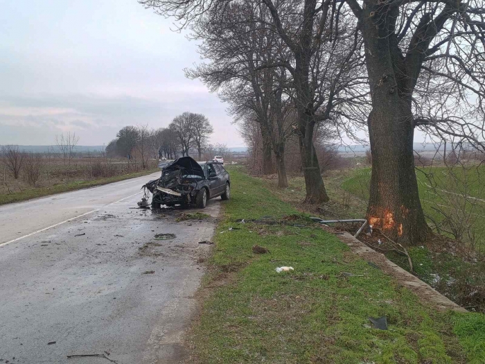 ���� ������������ �� ������ ������� ������