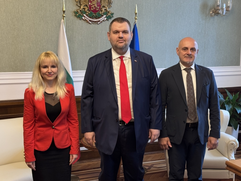 Видинският депутат Ваня Василева се присъедини към хората на  Пеевски