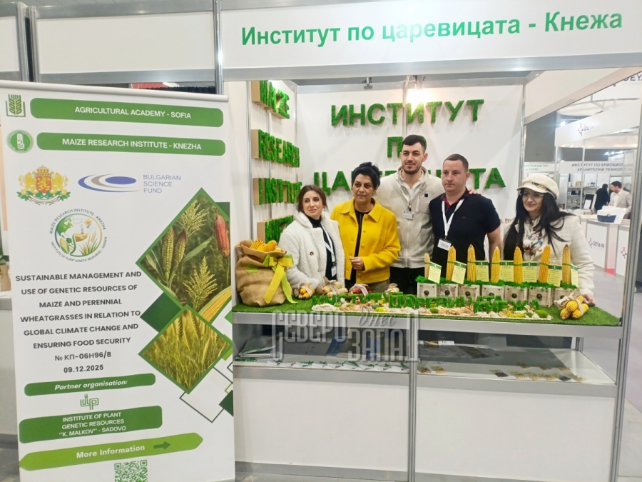 �������� �� ���������� - ����� � ��������� �������