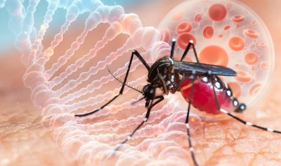 ������ �������� ������, � ������ �� ������ ���������� ����������� 