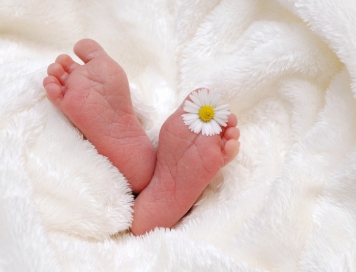 ����� � ������� ���� �� ������