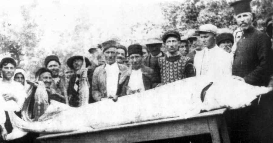 ����� 83 ������ ���� ���� ������ ������ ������, ������ 393 ���������