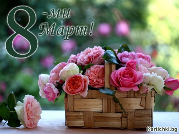 ������ 8-�� ���� �� ����� ������- ���� �� ������ �������