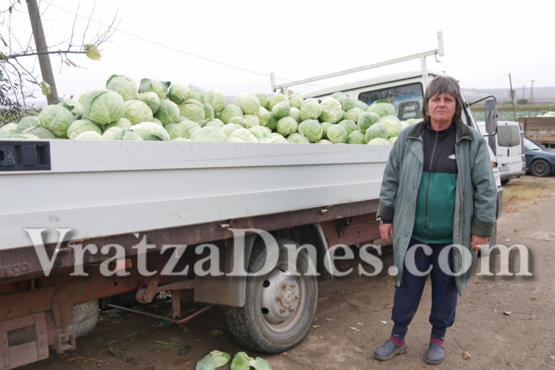 ����������� ���� � ��������������� ������� �� ������ /������/