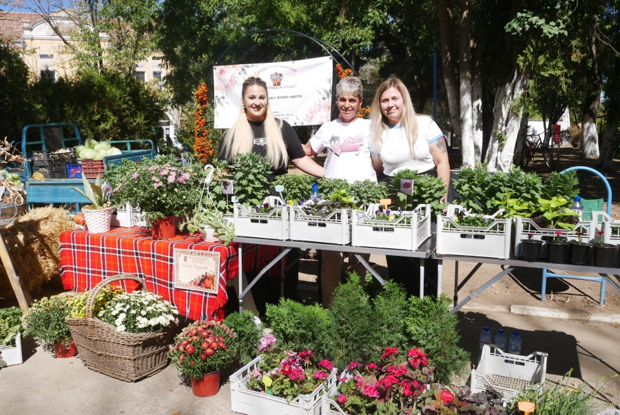 ����������� ����� �������� ���������� ����� � �������  